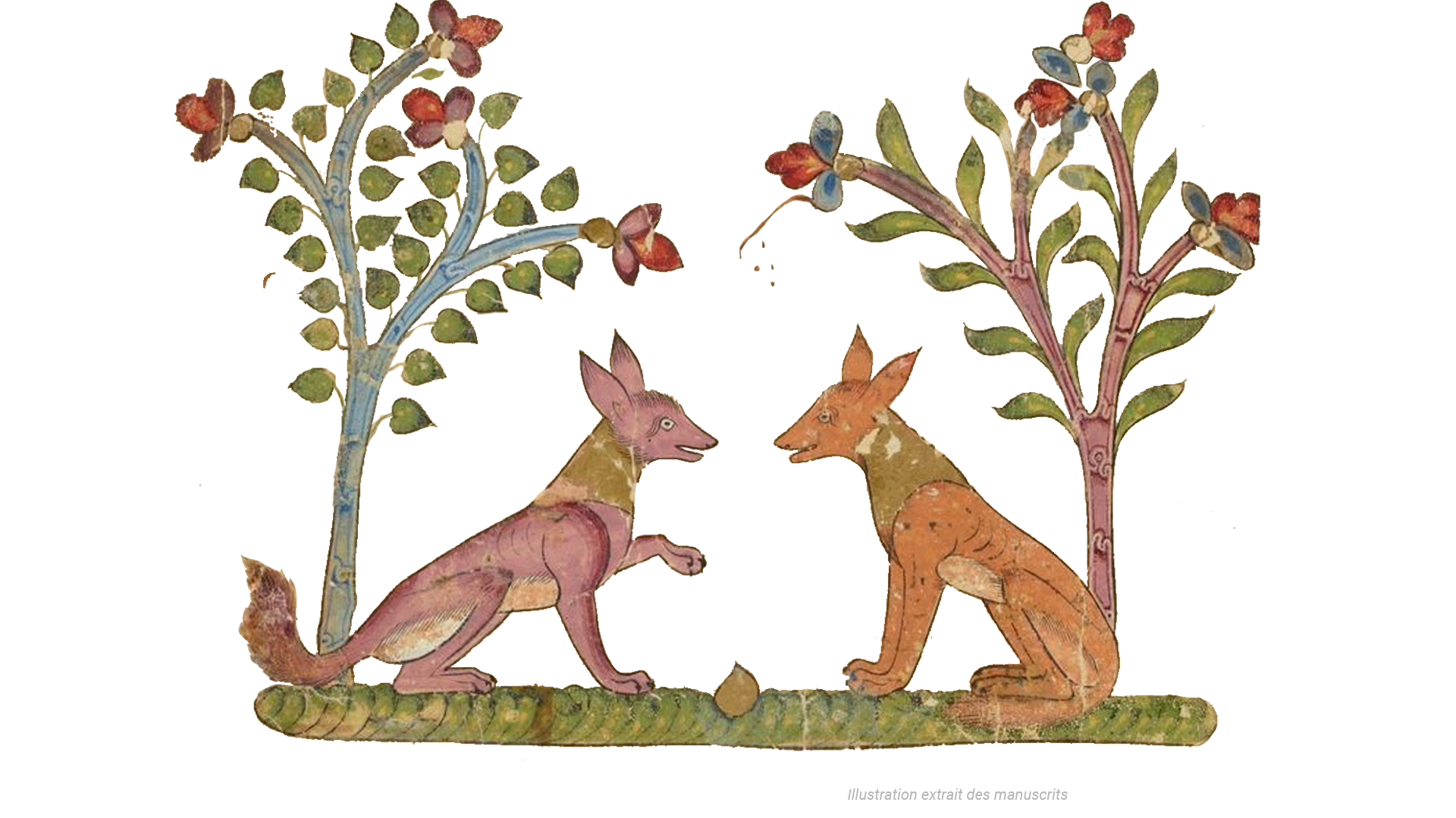 Kalila et Dimna sont deux chacals vivant à la cour du lion, roi du pays.