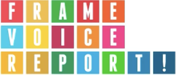 Frame Voice Report